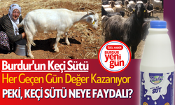 Burdur'un Keçi Sütü, Her Geçen Gün Değer Kazanıyor: Peki Keçi Sütü Neye Faydalı?