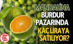 Burdur’da mandalina sezonu başladı! Fiyatlar ne durumda?