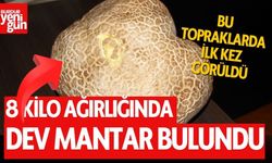 8 Kilo Ağırlığında Dev Mantar Bulundu