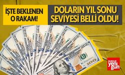 Doların Yıl Sonu Seviyesi Belli Oldu! İşte Beklenen Rakam