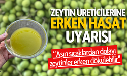 Zeytin üreticilerine erken hasat uyarısı