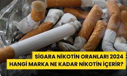 Sigara Nikotin Oranları 2024: Hangi Marka Ne Kadar Nikotin İçerir?