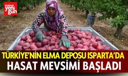 Türkiye’nin Elma Deposu Isparta’da Hasat Mevsimi Başladı