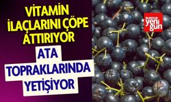 Ata Topraklarında Yetişiyor Vitamin İlaçlarını Çöpe Attırıyor