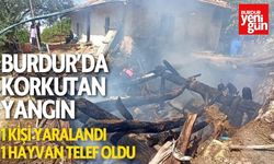 Burdur’da Korkutan Yangın 1 Kişi Yaralandı 1 Hayvan Telef Oldu