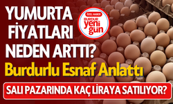 Yumurta Fiyatları Neden Arttı? Burdurlu Esnaf Anlattı