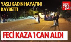 Yaşlı Kadın Hayatını Kaybetti 2 Yaşındaki Çocuk Yaralandı