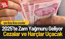 2025’te Zam Yağmuru Geliyor! Cezalar ve Harçlar Uçacak