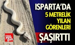 Isparta’da 5 Metrelik Yılan Görenleri Şaşırttı