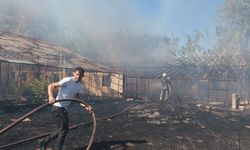 Antalya’da Korkutan Yangın! 3 Sera Zarar Gördü, Evler Tehlikede