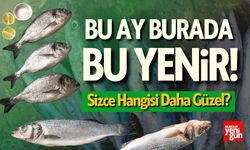 Bu Ay Burada Bu Yenir! Sizce Hangisi Daha Güzel?