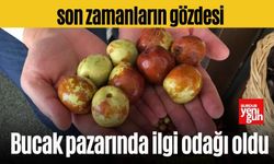 Hünnap Meyvesi, Bucak pazarında ilgi odağı oldu