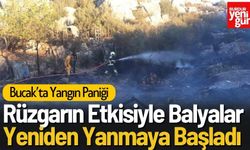 Bucak'ta Yangın Yeniden Başladı