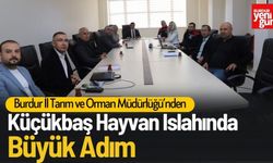 Küçükbaş Hayvan Islahında Büyük Adım