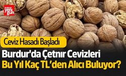 Burdur'da Çetnır Cevizleri Bu Yıl Kaç TL’den Alıcı Buluyor?