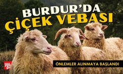 Burdur'da "Çiçek Vebası" Önlemler Alınmaya Başlandı