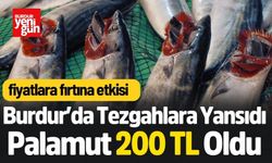 Fırtına Çıktı! Burdur'da Palamut 200 TL Oldu