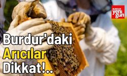 Burdur'da Arıcılık Destekleme Başvuruları İçin Süre Uzatıldı