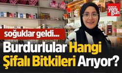 Burdurlular Hangi Şifalı Bitkileri Arıyor?