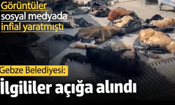 İlgililer açığa alındı: Görüntüler sosyal medyada infial yaratmıştı