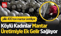 Köylü Kadınlar Mantar Üretimiyle Ek Gelir Sağlıyor