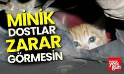 Araç Sahipleri Kaputa Vurmadan Çalıştırmayın