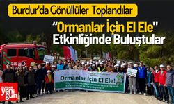 Burdur'da Gönüllüler "Ormanlar İçin El Ele" Etkinliğinde Buluştu