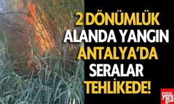 Antalya'da Serik’teki Yangın Kontrol Altına Alındı