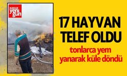 Komşuda Tonlarca Yem ve 17 Hayvan Telef Oldu