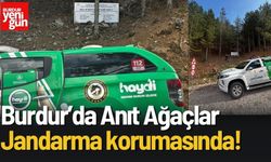 Burdur’da Anıt Ağaçlar Jandarma Korumasında