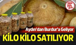 Aydın'dan Burdur'a Geliyor! Kilo Kilo Satılıyor