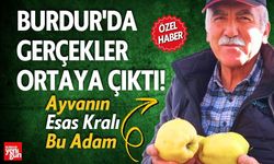 Burdur'da Gerçekler Ortaya Çıktı İşte Esas Ayva Kralı