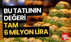 Tatlı Kutularında 6 Milyonluk Madde Ele Geçirildi