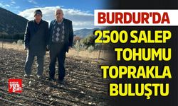 Burdur'da 2500 Salep Tohumu Toprakla Buluştu