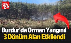 Burdur'da Orman Yangını! 3 Dönüm Alan Etkilendi