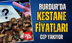 Burdur'da Kestane Fiyatları Cep Yakıyor