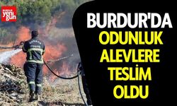 Burdur'da Odunluk Alevlere Teslim Oldu