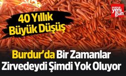 Bir Zamanların Gözdesi Yusufça Havucu Yok Oluyor