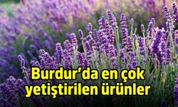 Burdur’da en çok yetiştirilen ürünler