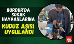 Burdur'da Sokak Hayvanlarına Kuduz Aşısı Uygulandı