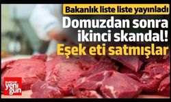 Domuz etinden sonra ikinci skandal! Eşek eti satmışlar