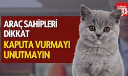 Araç Sahipleri Dikkat: Kaputa Vurmayı Unutmayın