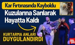 Kar Fırtınasında Kuzularına Sarılarak Hayatta Kaldı