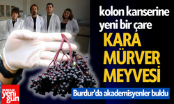 Dünyada en çok görülen kanserlerden kolon kanserine yeni bir çare: Kara mürver meyvesi