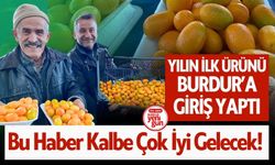 Burdur’da Yılın İlk Kumkatı Tezgahlarda! Faydaları Şaşırtıyor