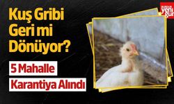 Kuş Gribi Geri mi Dönüyor? 5 Mahalle Karantiya Alındı