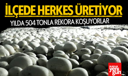 İlçede Herkes Üretiyor: Yılda 504 ton Yetiştiyorlar!