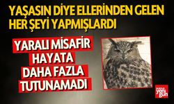 Yaralı Diye Ellerinden Gelen Her Şeyi Yapmışlardı