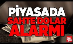 Döviz Alımları Durdu! Sahte Dolarlar Piyasada Geziyor