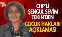 CHP Kadın Kolları’ndan Bakan Göktaş’a: 'Sessizliğinize İthafen İstifa Edin!'